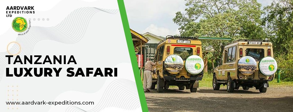 tanzania luxury safari