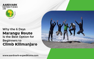 Why the 6 Days Marangu Route Is the Best Option for Beginners to Climb Kilimanjaro