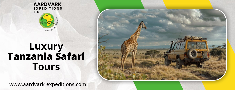luxury Tanzania safari tours
