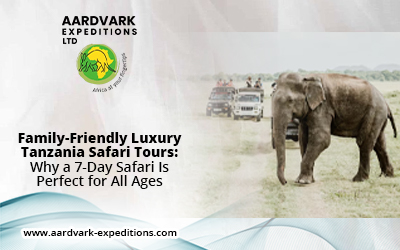 Family-Friendly Luxury Tanzania Safari Tours: Why a 7-Day Safari Is Perfect for All Ages