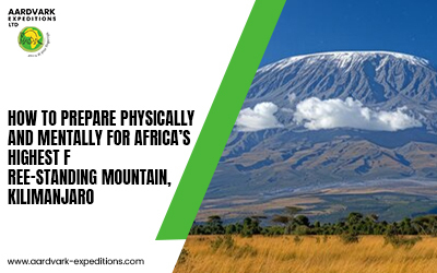 Prepare Physically & Mentally for Africa’s Highest Peak, Kilimanjaro