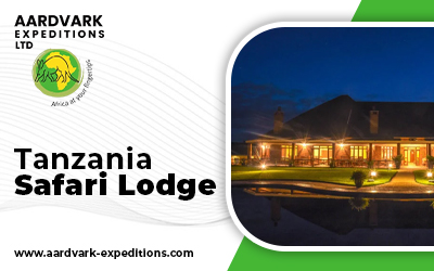 Why Tanzania Lodge Safaris Are Ideal for the Connoisseur Traveler