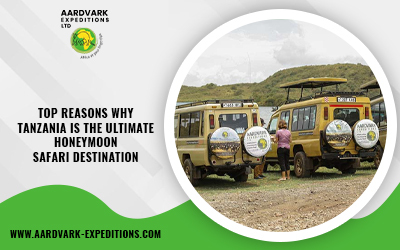 Top Reasons Why Tanzania Is the Ultimate Honeymoon Safari Destination