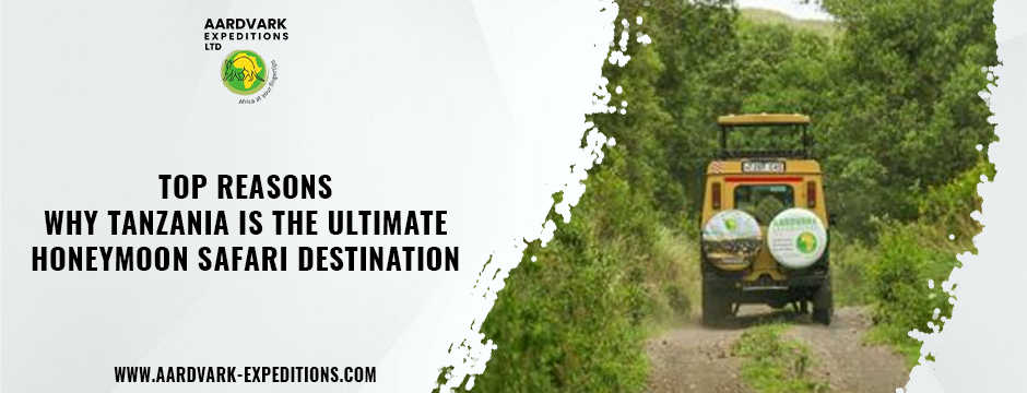 Tanzania honeymoon package