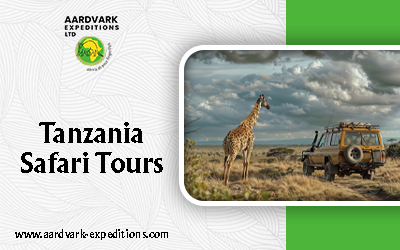 Why the 6-Day Tanzania Safari Tours are Perfect for First-Time Visitors