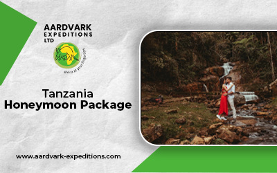 Why Tanzania Honeymoon Safari Packages Are the Ultimate Romantic Adventure