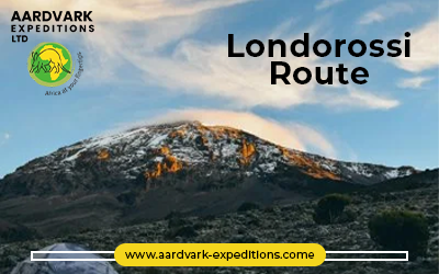 Why the Londorossi Route is Perfect for First-Time Kilimanjaro Climbers
