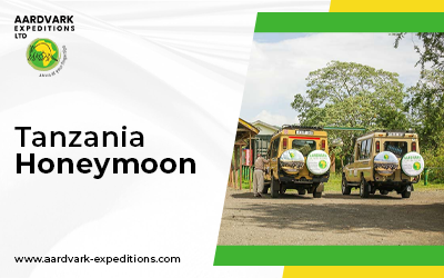 Why Tanzania is the Ultimate Honeymoon Destination for Adventure and Luxury